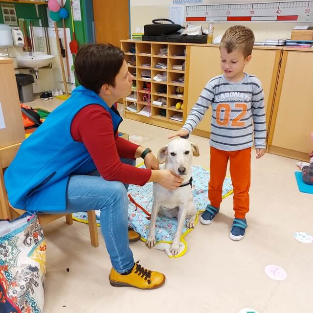 Obisk terapevtske psičke Loni pri Medvedkih